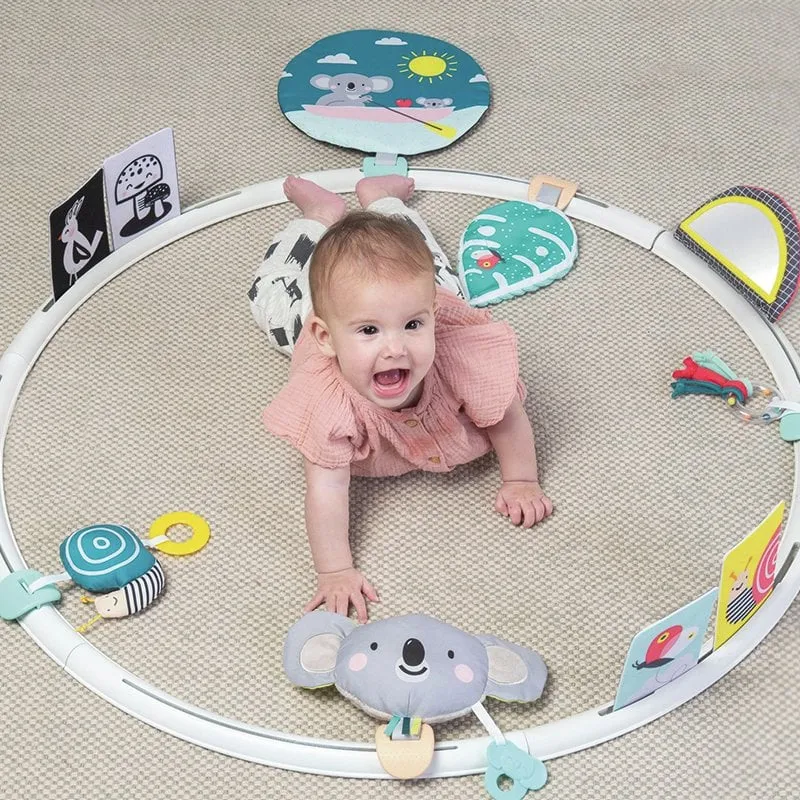 All Around Me Baby Activity Hoop