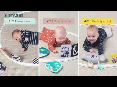 All Around Me Baby Activity Hoop