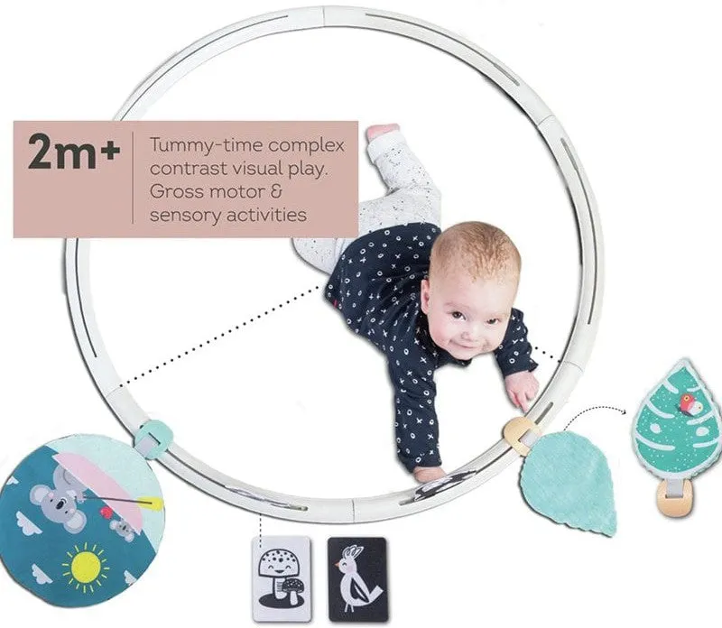 All Around Me Baby Activity Hoop