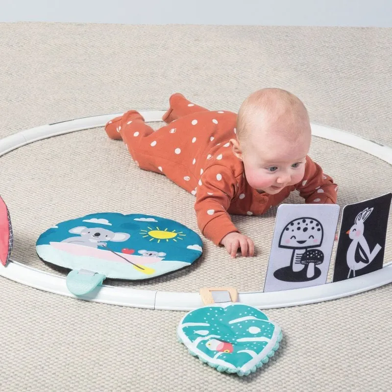 All Around Me Baby Activity Hoop