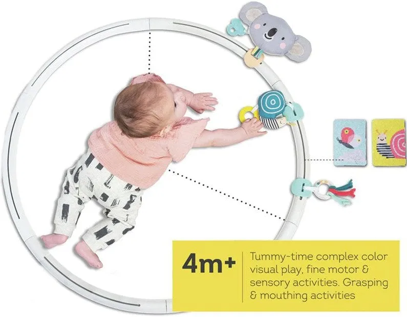 All Around Me Baby Activity Hoop