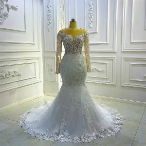 AM1007 Long Sleeve Lace Applique Keyhole Back Mermaid Sheer Wedding Dress