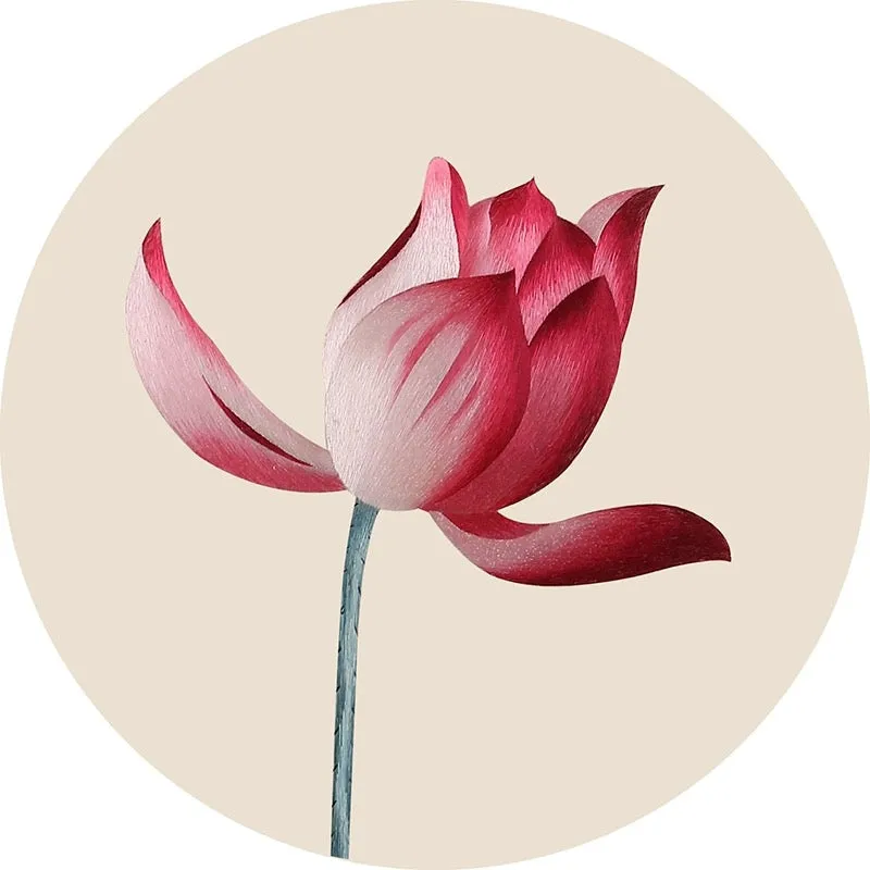 DIY Silk Embroidery kit Red Lotus 20cm