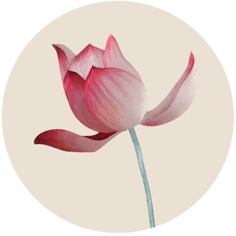 DIY Silk Embroidery kit Red Lotus 20cm