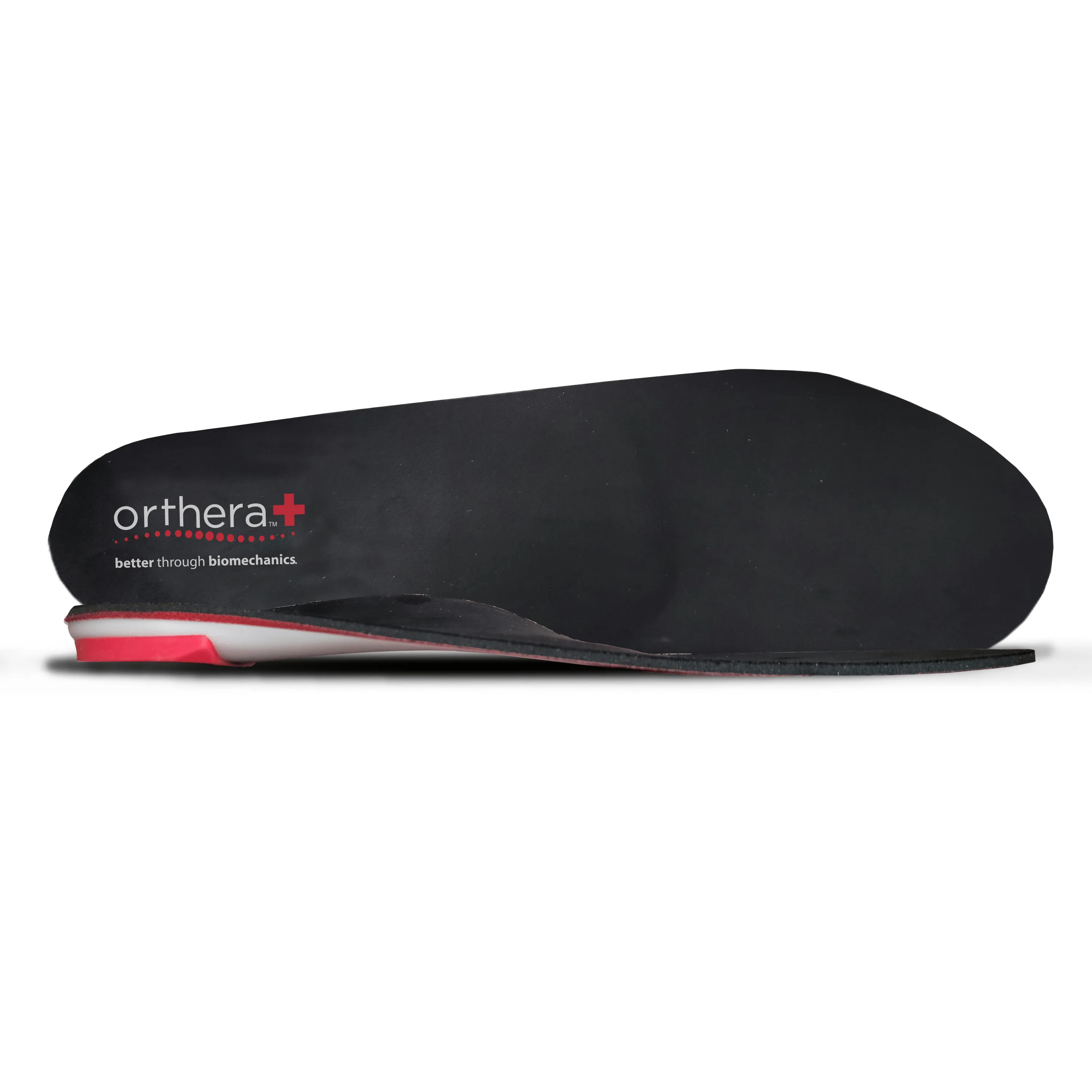 Orthera PRO Physio