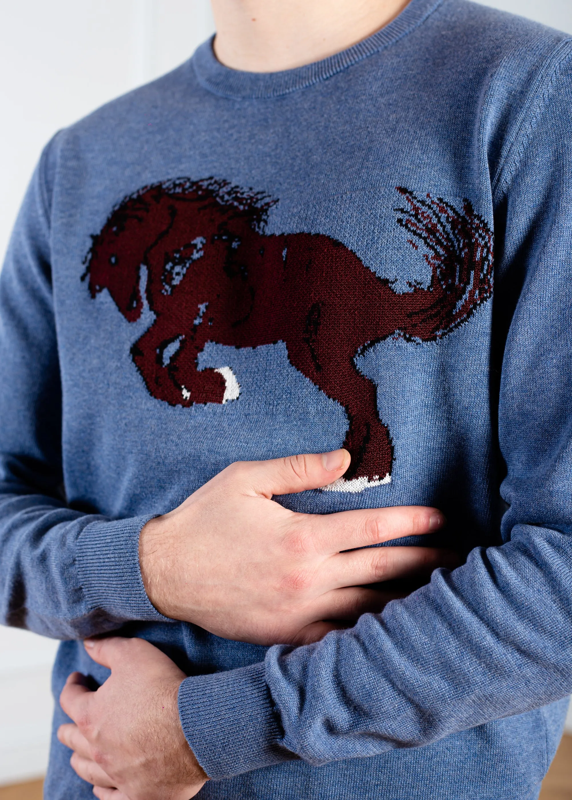 Unisex Blue jeans sweater Horse